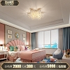 Đèn áp trần phong cách lãng mạn cho phòng khách  VNM-540278560908