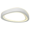 Đèn ốp trần đơn giản sang trọng VNM-43663352499