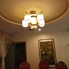Đèn thả phòng khách đơn giản lãng mạn VNM-39930648648
